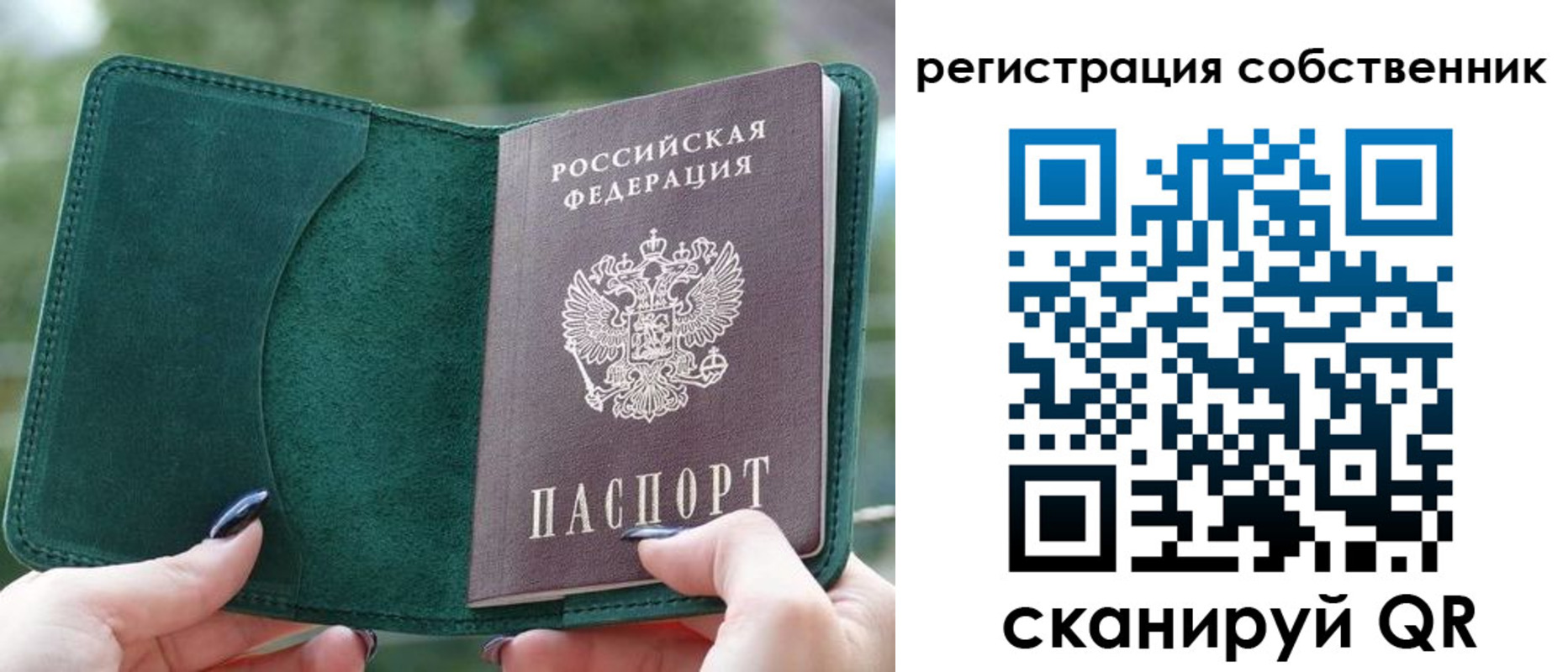 регистрация для школы в Мончегорске